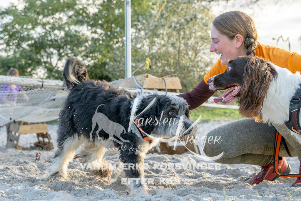 1642_ZZ98640 | kk-dogfotos