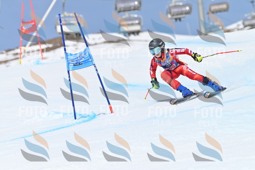 BGV_2052 | holidayphoto