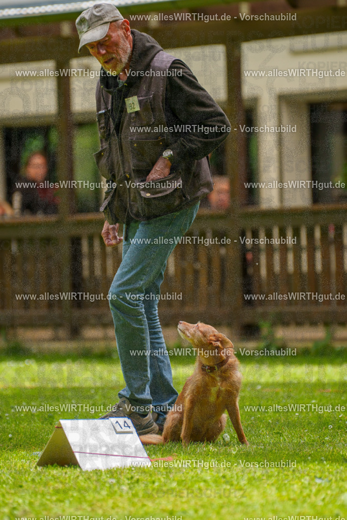 @allesWIRTHgut_Tierfotografie - www.allesWIRTHgut.de - 121727-7R508807 | Professionelle Tierfotografie in Mönchengladbach von Daniel Wirth (allesWIRTHgut). Liebevolle & natürliche Bilder von Hunden & Katzen für unvergessliche Erinnerungen.
