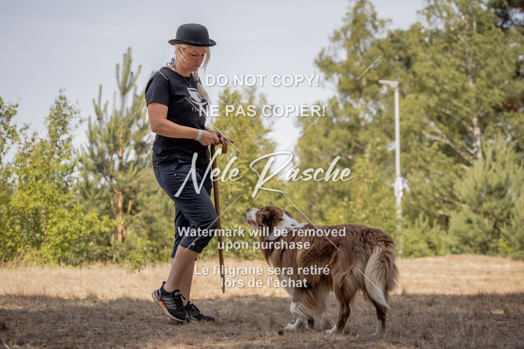 nelerasche_soDD2_143 | nelerasche