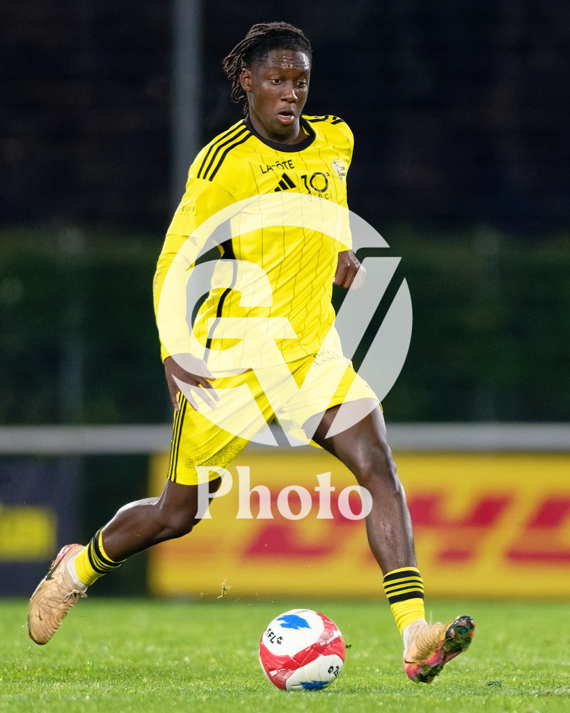 dieci Challenge League - FC Stade Nyonnais v Etoile Carouge FC |  during the dieci Challenge League match between FC Stade Nyonnais and Etoile Carouge FC at Centre sportif de Colovray in Nyon, Switzerland