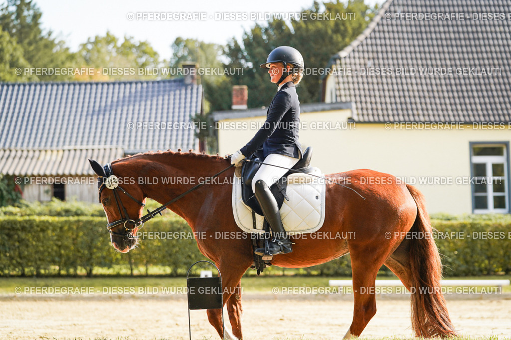 DSC05840 | Pferdegrafie