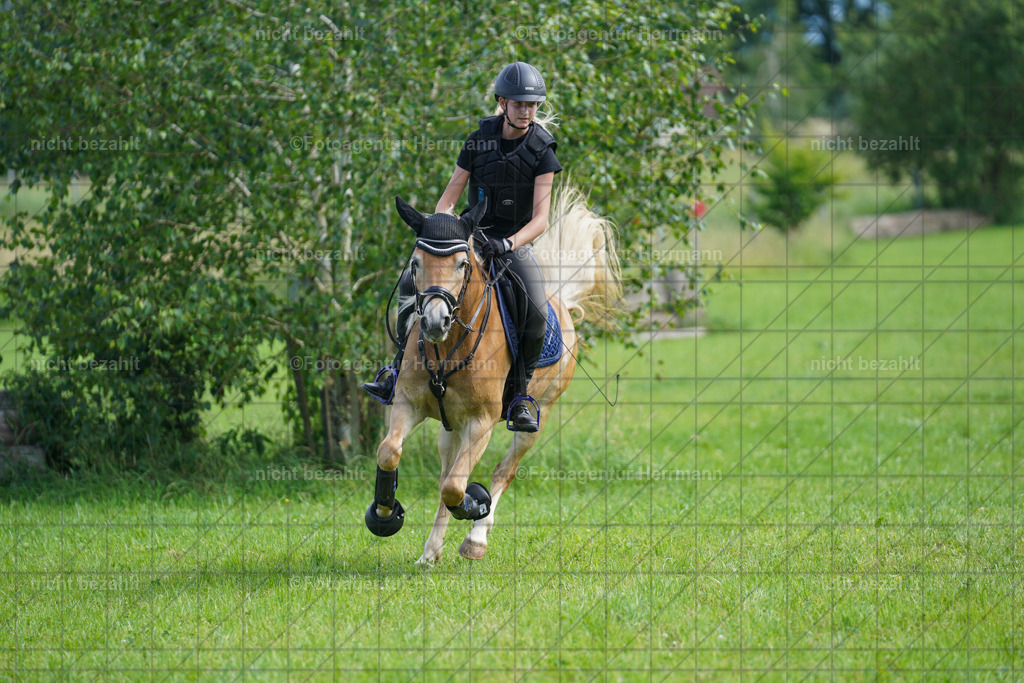 20240622-FAH07909 | Turnierfotografen Bayern, Reitsportbilder aus dem Geländekurs mit Felix Etzel auf dem Gut Waitzacker 2024