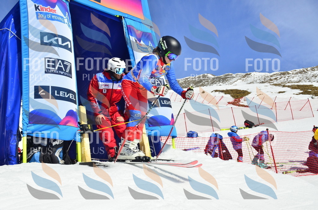 _ELE0767 | holidayphoto