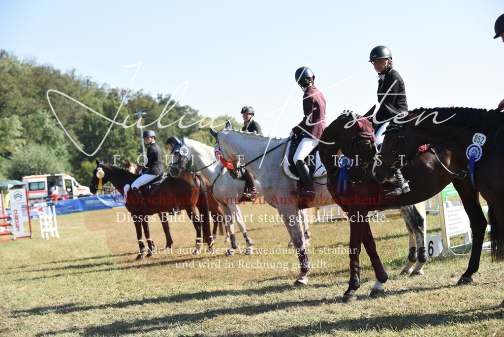 DSC_5481 | Pferde- und Turnierfotografie in Westsachsen. Pferdeportraits, Auftragszeichnungen und intuitive Kunst.