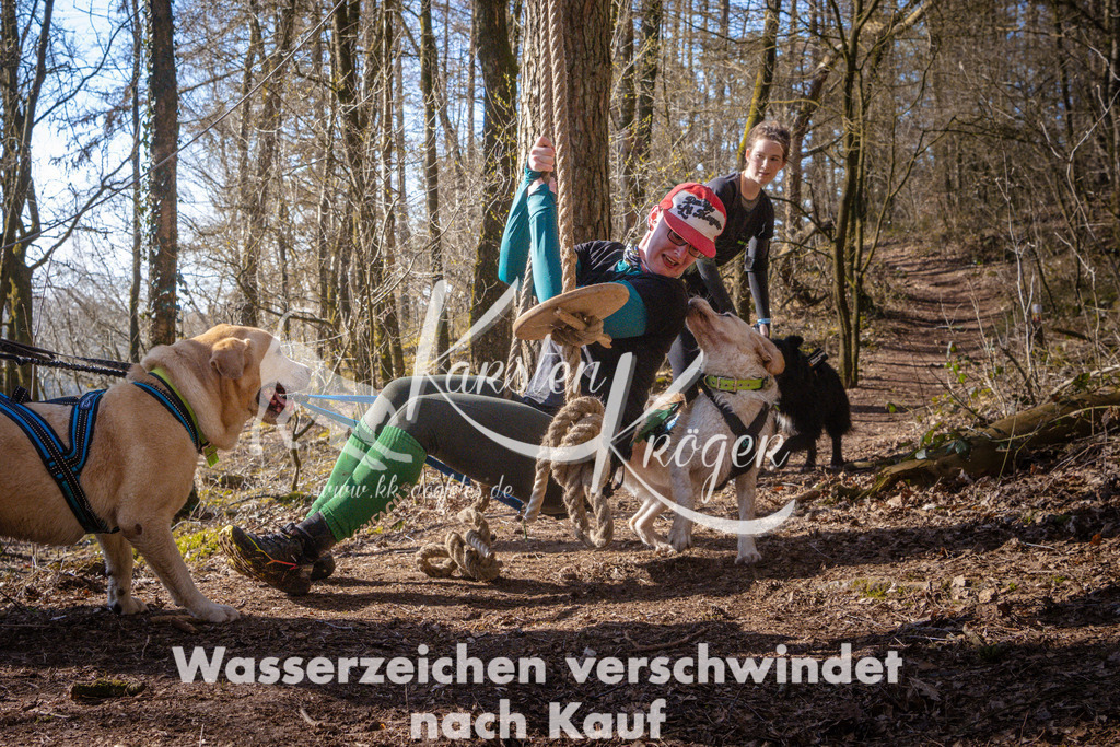 0937_ZZ99137 | kk-dogfotos