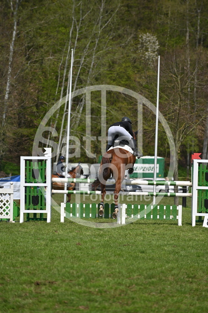 DSC_2703 | sattelsport - Realisiert mit Pictrs.com