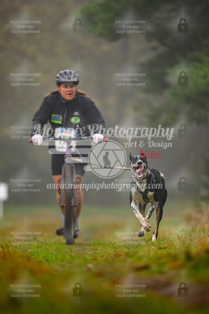 MompixPhotography_Bischwiller2025_Scooter-54 | mompixphotography