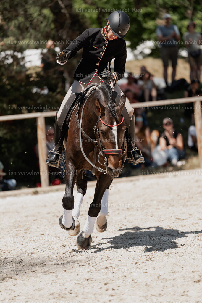 WE_SP_Stoib_330_PI2025_2001 | Pferd International München 2025