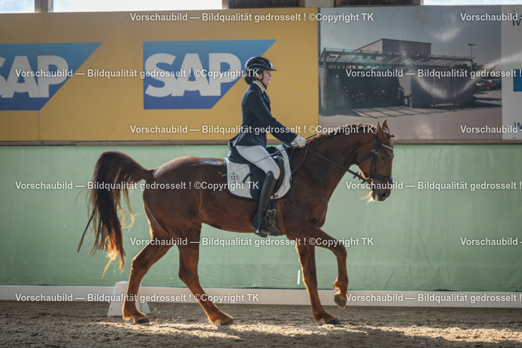 _D5A8548 | Emotionale Pferde- & People-Fotografie rund um Heidelberg, Leimen & Umgebung. Natürliche Fotos von Pferd, Mensch & Familie. Jetzt Termin sichern!
