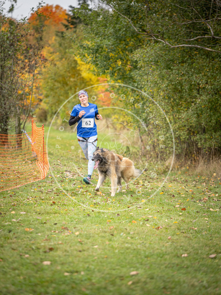 Pfotenfotografie_DV3A2685 | Hundefotografie, Tierfotograf, Pfotenfotografie, Fotoshooting Hund, Hunde Portrait, Hundesport, Hundeportraits, Heideshooting, Hunde, Sportfotograf, Hundefotograf, Turnierhundsport, THS,  - Realisiert mit Pictrs.com
