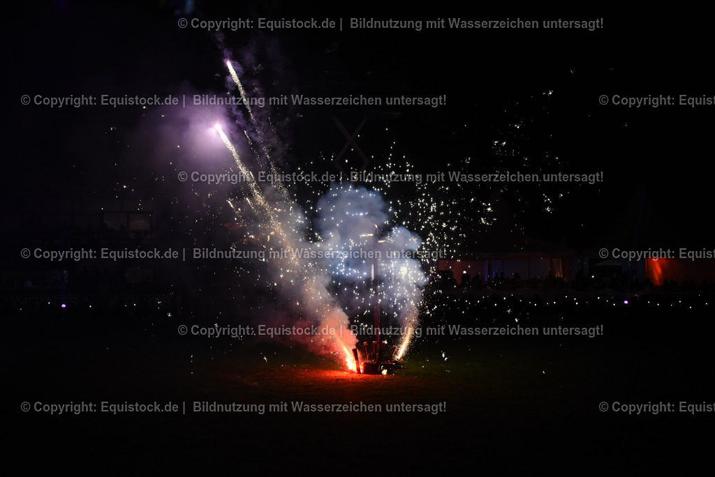 20230526_Pferdenacht_1629 | equistock
