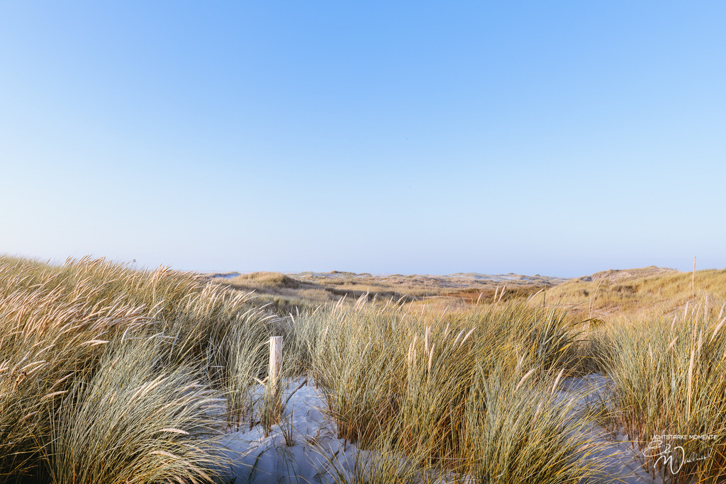 20200922 NORDSEE - SPO_Ording-Hungerhamm 039-1 | Herzlich willkommen auf meiner Seite! Ich bin Elke Wallnisch, Deine Fotografin für lichtstarke Momente. Der Name steht für alles, was mich mit der Fotografie verbindet: Das Licht und seine machtvolle Wirkung auf eine Situation oder unsere Stimmung - Realisiert mit Pictrs.com