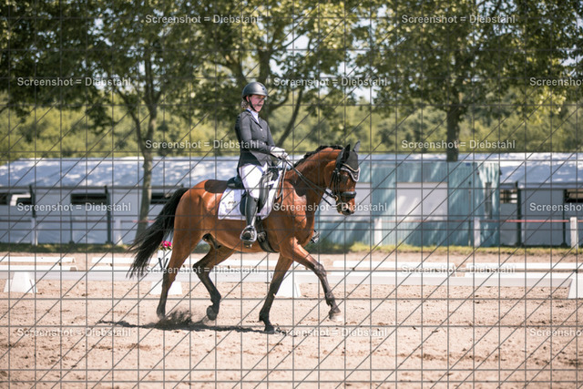 _W6A6422 | ronjaprokoschfotografie - Realisiert mit Pictrs.com