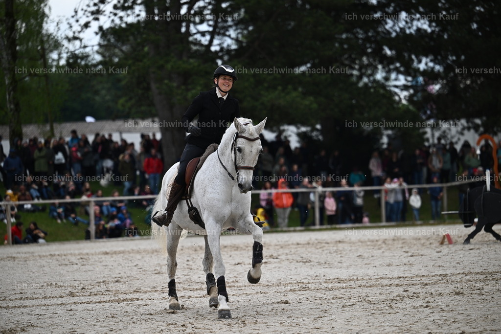 PI26_SP_Sara_Landvogt_226_4644.JPG | working equitationturnier fotograf videograf stoibphotography marixx film working equitation deutschland reitsport turnierfotografie eventfotografie equestrian events