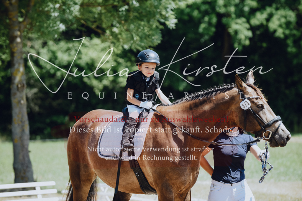 DSC_2633 | Pferde- und Turnierfotografie in Westsachsen. Pferdeportraits, Auftragszeichnungen und intuitive Kunst.