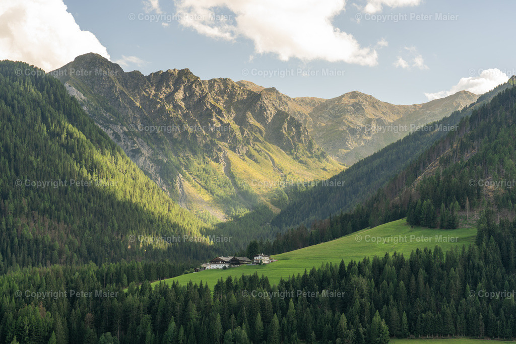 Höfe_Trail_2022-8929 | piet_flosse