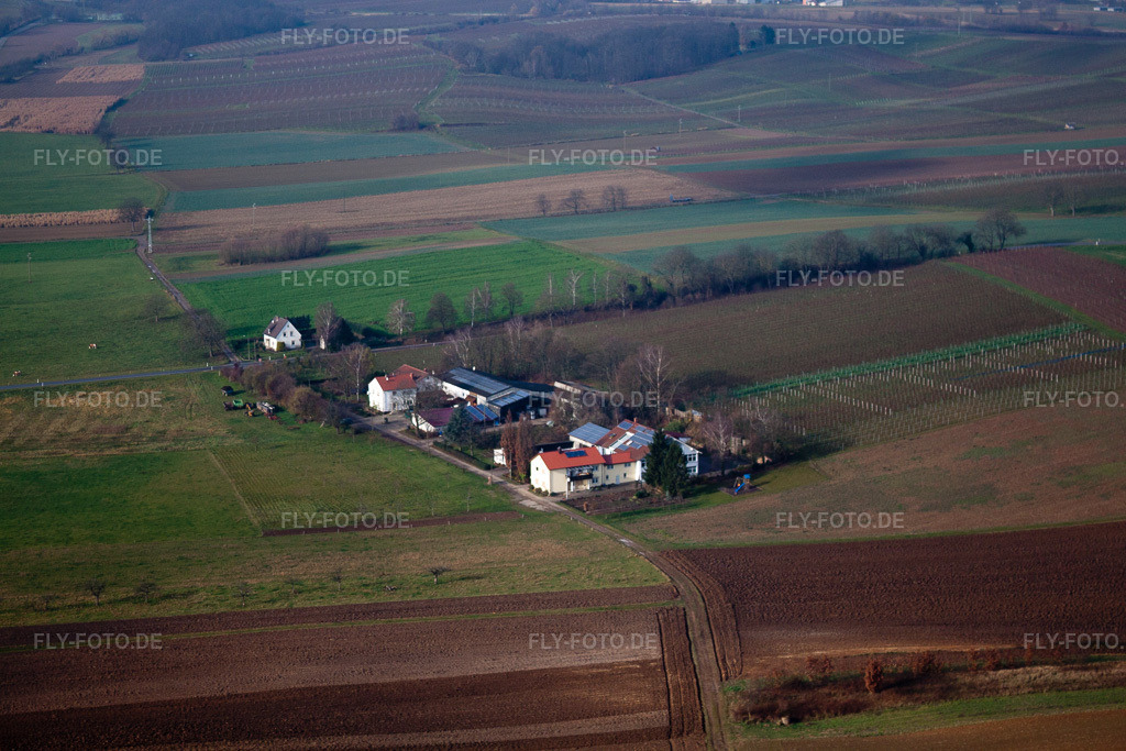 Luftbild: Eichenhof im Ortsteil Deutschhof in Kapellen-Drusweiler im Bundesland Rheinland-Pfalz in Deutschland. Foto: IMG_35562.jpg vom 20.11.2010 durch Werner Riehm/FLY-FOTO.de