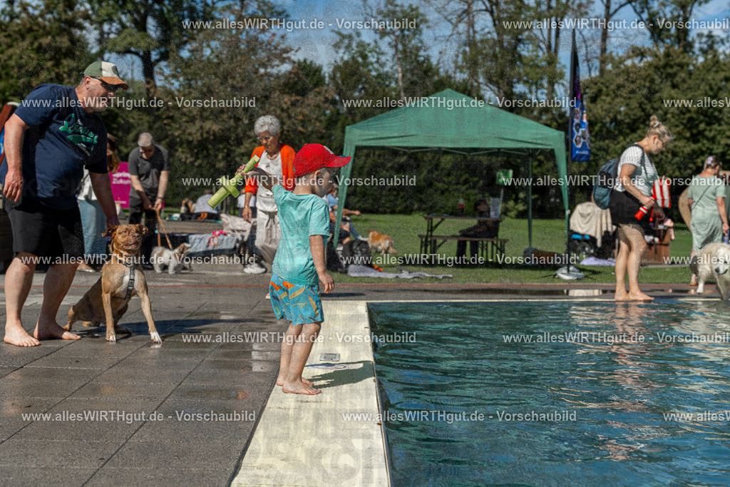 Hundeschwimmen_Volksbad_2026-allesWIRTHgut_Tierfotografie-2609061255-120550-7R500307 | Professionelle Tierfotografie in Mönchengladbach von Daniel Wirth (allesWIRTHgut). Liebevolle & natürliche Bilder von Hunden & Katzen für unvergessliche Erinnerungen.