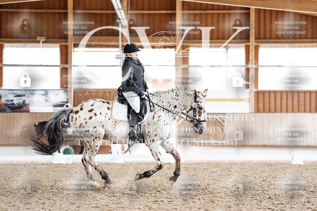 CK901194 | Turnierfotografie Pferdefotografie Trier Rheinland-Pfalz Pferdesport Reitsport Tierfotografie Sportfotografie Pferdevideo Pferdevideografie Equestrianvideography equestrianphotography  - Realisiert mit Pictrs.com
