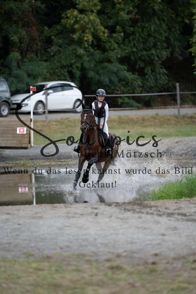 A7V01443 | Pferdefotograf