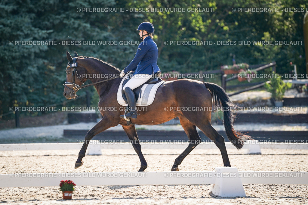 DSC09193 | Pferdegrafie