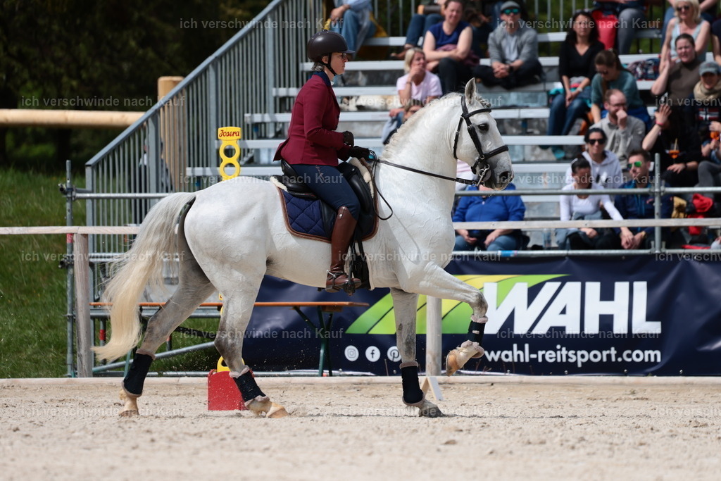 PI26_ST_StoibphotographyC2_L8320.JPG | working equitationturnier fotograf videograf stoibphotography marixx film working equitation deutschland reitsport turnierfotografie eventfotografie equestrian events