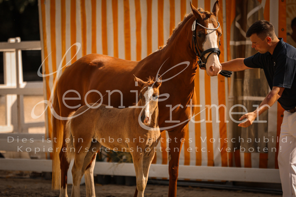 10.DoRP00161 | Leoni Ertmer Photography - Realisiert mit Pictrs.com