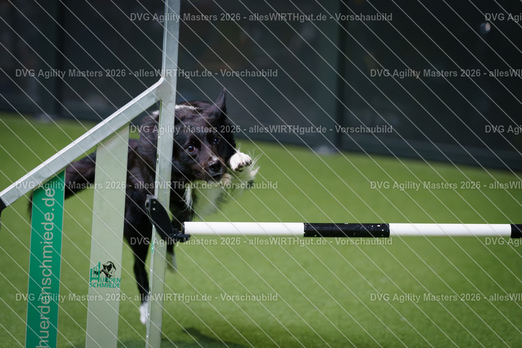 allesWIRTHgut_Tierfotografie-DVG_Agility_Masters_2026-10_19-7R503454 | Professionelle Tierfotografie in Mönchengladbach von Daniel Wirth (allesWIRTHgut). Liebevolle & natürliche Bilder von Hunden & Katzen für unvergessliche Erinnerungen.