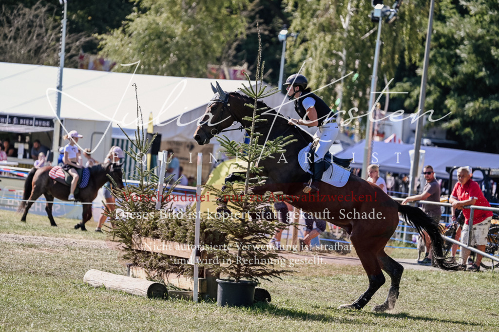 DSC_2717 | Pferde- und Turnierfotografie in Westsachsen. Pferdeportraits, Auftragszeichnungen und intuitive Kunst.