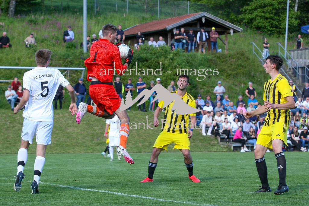 993T8349 | Medien- Sport- Entertainmentfotos