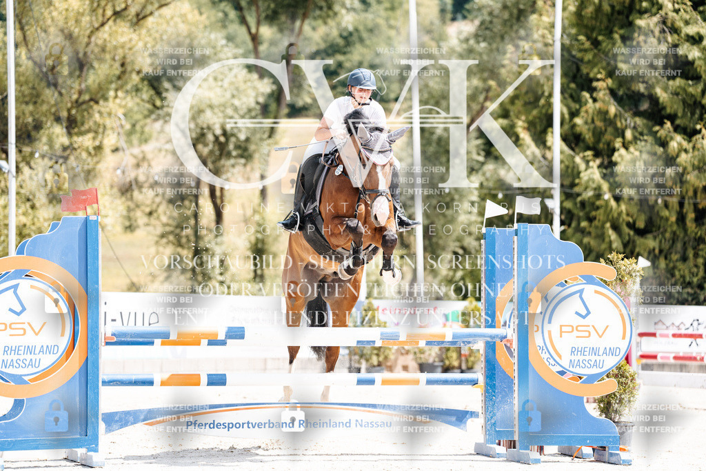 CK908083 | Turnierfotografie Pferdefotografie Trier Rheinland-Pfalz Pferdesport Reitsport Tierfotografie Sportfotografie Pferdevideo Pferdevideografie Equestrianvideography equestrianphotography  - Realisiert mit Pictrs.com