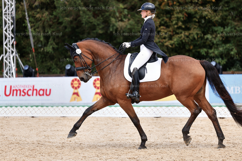 07-189-DRESSUR  S___  -StoibPH-5054 | working equitationturnier fotograf videograf stoibphotography marixx film working equitation deutschland reitsport turnierfotografie eventfotografie equestrian events