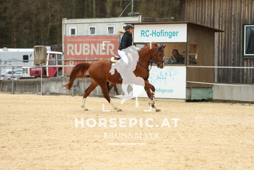 DL2Q2116 | Willkommen bei Brunnmayr - Design & Fotografie – Ihrem Spezialisten für Reitturniere und Pferdeveranstaltungen in Oberösterreich, Salzburg und Bayern! Seit über 17 Jahren sind wir leidenschaftlich dabei.