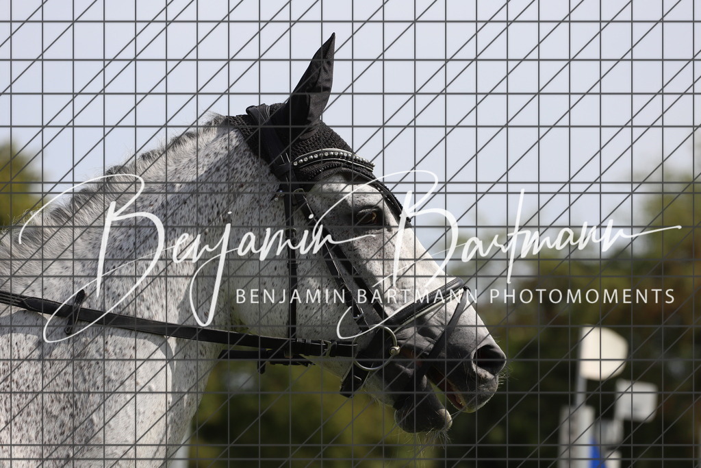 IMG_7315 | Benjamin Bartmann Photomoments