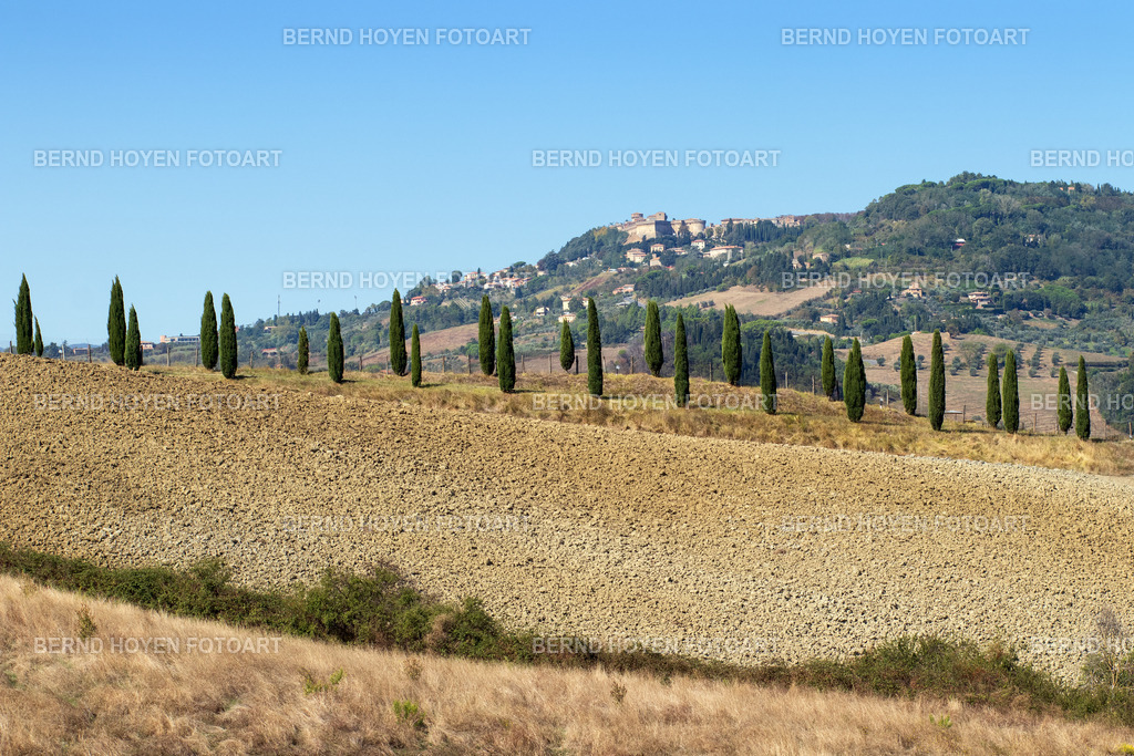 cypresses 004 | Foto in der Nähe des Ortes Volterra in der Toskana, Italien.
Sanfte Hügel und unzählige Zypressen machen den Reiz dieser wundervollen Landschaft aus. | Photo near the town of Volterra in Tuscany, Italy.
Rolling hills and countless cypresses make up the charm of this wonderful landscape. - Realisiert mit Pictrs.com