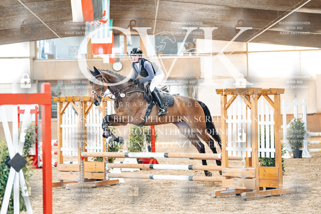 CK903701 | Turnierfotografie Pferdefotografie Trier Rheinland-Pfalz Pferdesport Reitsport Tierfotografie Sportfotografie Pferdevideo Pferdevideografie Equestrianvideography equestrianphotography  - Realisiert mit Pictrs.com