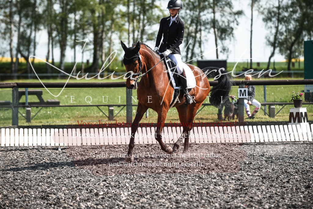 DSC_8920 | Pferde- und Turnierfotografie in Westsachsen. Pferdeportraits, Auftragszeichnungen und intuitive Kunst.