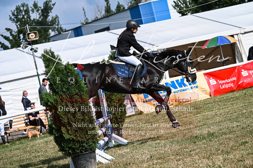 DSC_7875 | Pferde- und Turnierfotografie in Westsachsen. Pferdeportraits, Auftragszeichnungen und intuitive Kunst.