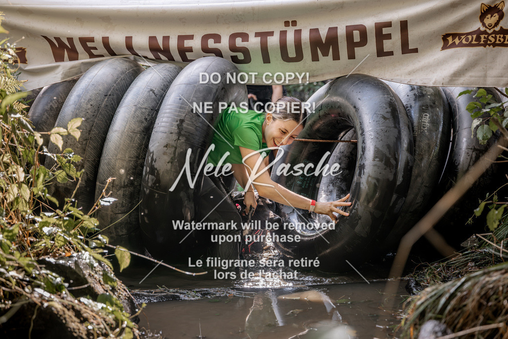 nelerasche_Hunsrück2026_Sa1400-1500_370 | nelerasche
