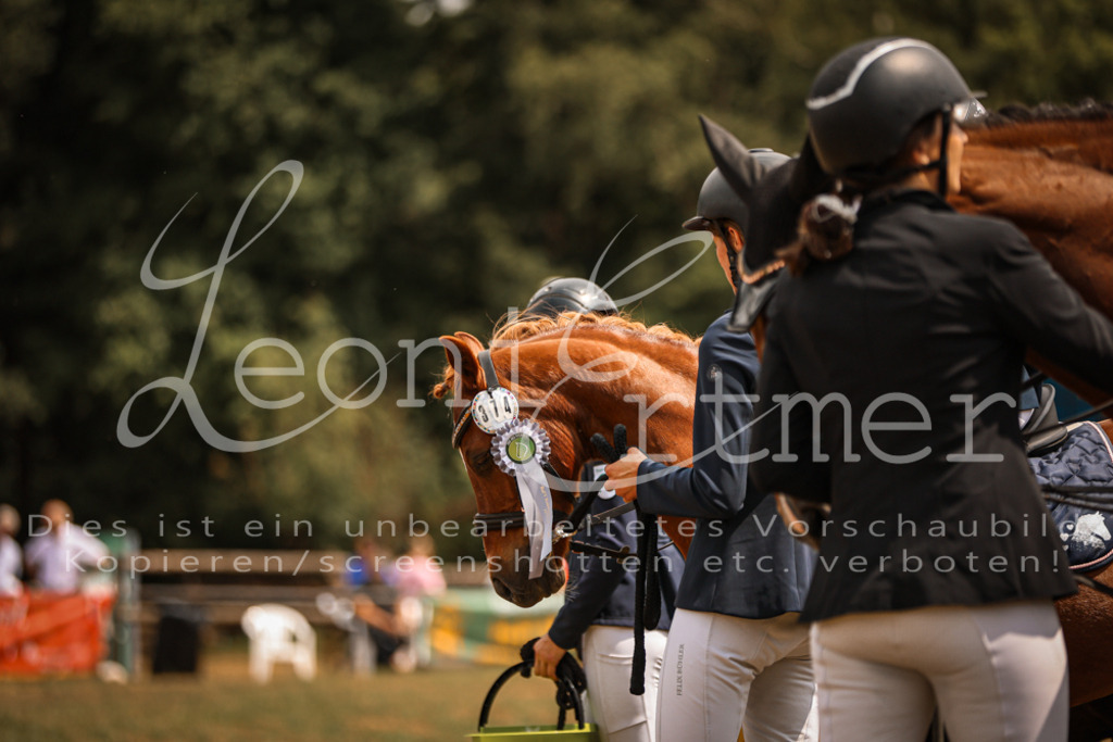 01.SoFZ00215 | Leoni Ertmer Photography - Realisiert mit Pictrs.com