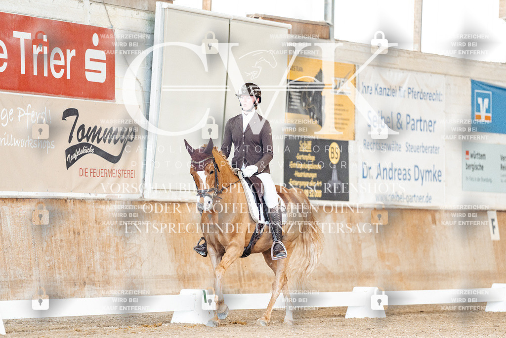 CK900797 | Turnierfotografie Pferdefotografie Trier Rheinland-Pfalz Pferdesport Reitsport Tierfotografie Sportfotografie Pferdevideo Pferdevideografie Equestrianvideography equestrianphotography  - Realisiert mit Pictrs.com
