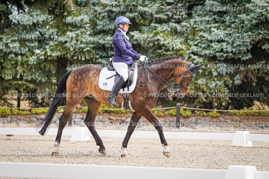 DSC02499 | Pferdegrafie