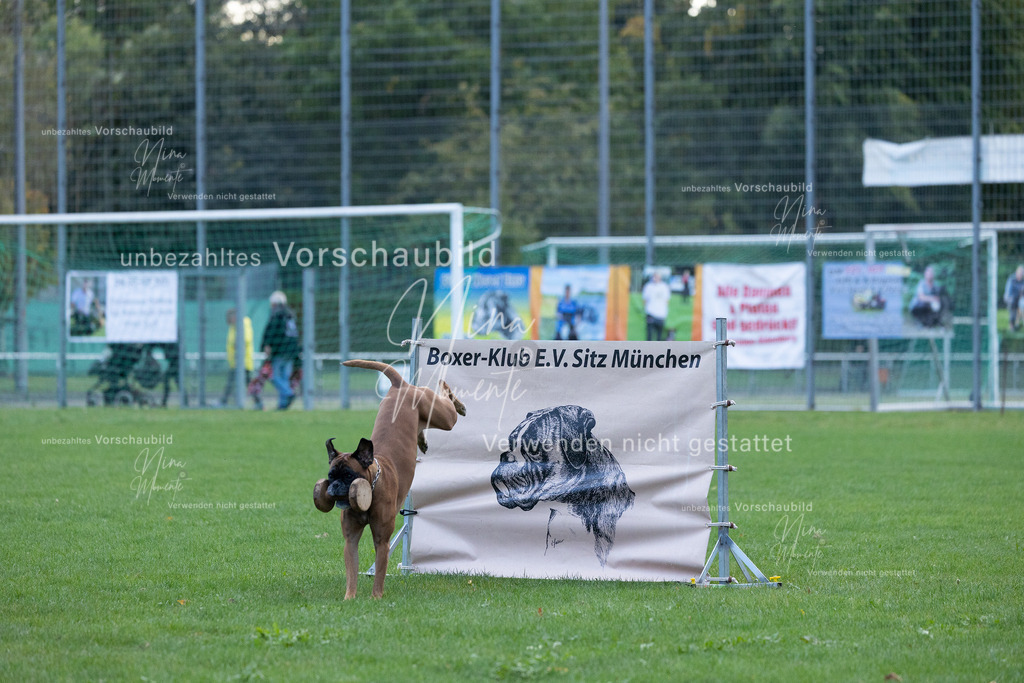 _16A4759 | Einzigartige Fotos von Hunden & Menschen –Actionfotos, Portraits, Vereinsaufnahmen & Paarshootings – authentisch, lebendig & mit Herz.