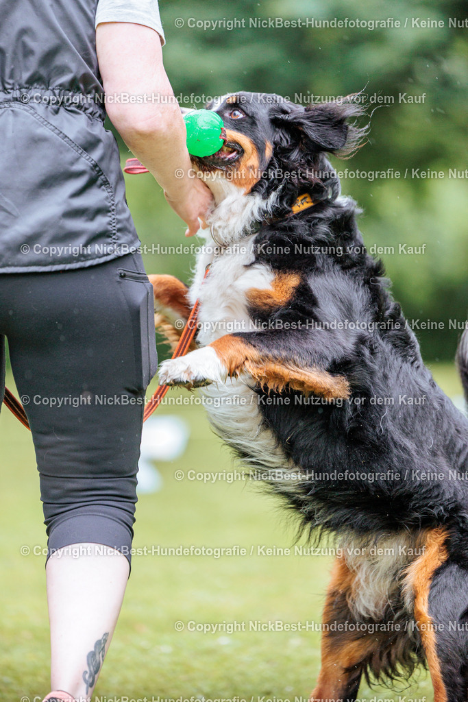 RO-Blumenthal-2026-Nickbest-Hundefotografie-3865 | Dein Hund! Dein Moment! Deine Erinnerungen! Hundefotografie in Bremen Blumenthal. Ich fange die besonderen Momente deines Vierbeiners ein – ob Indoor mit Blitzanlage oder in der freien Natur. Sicher dir dein Moment und dein Termin für eure Erinnerungen.