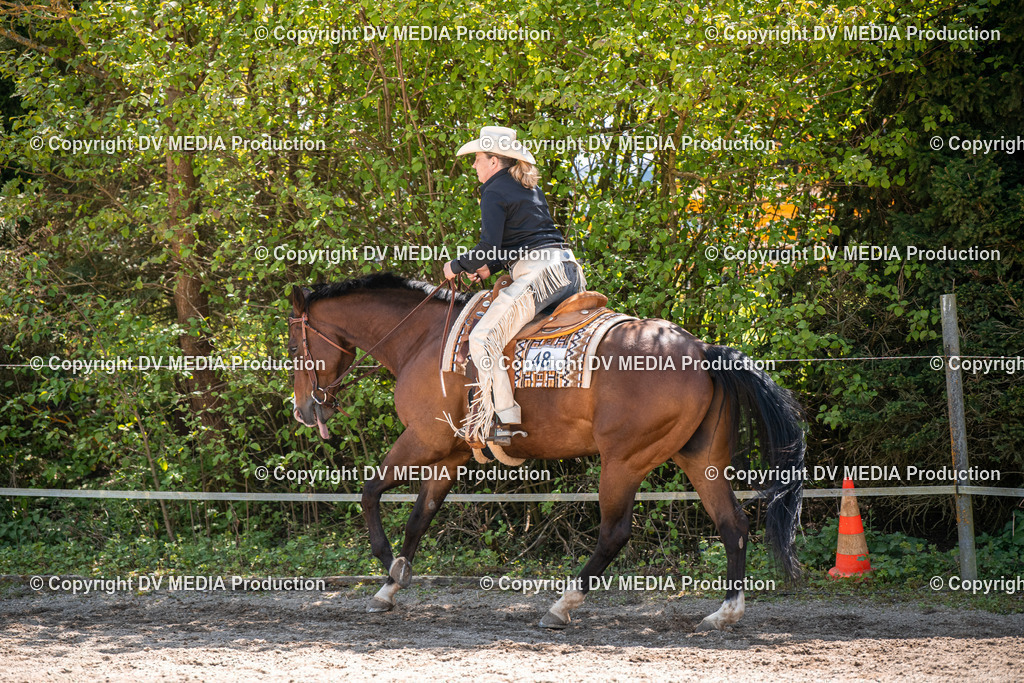 Balingen Tag 3-600 | dv-media-shop - Realisiert mit Pictrs.com