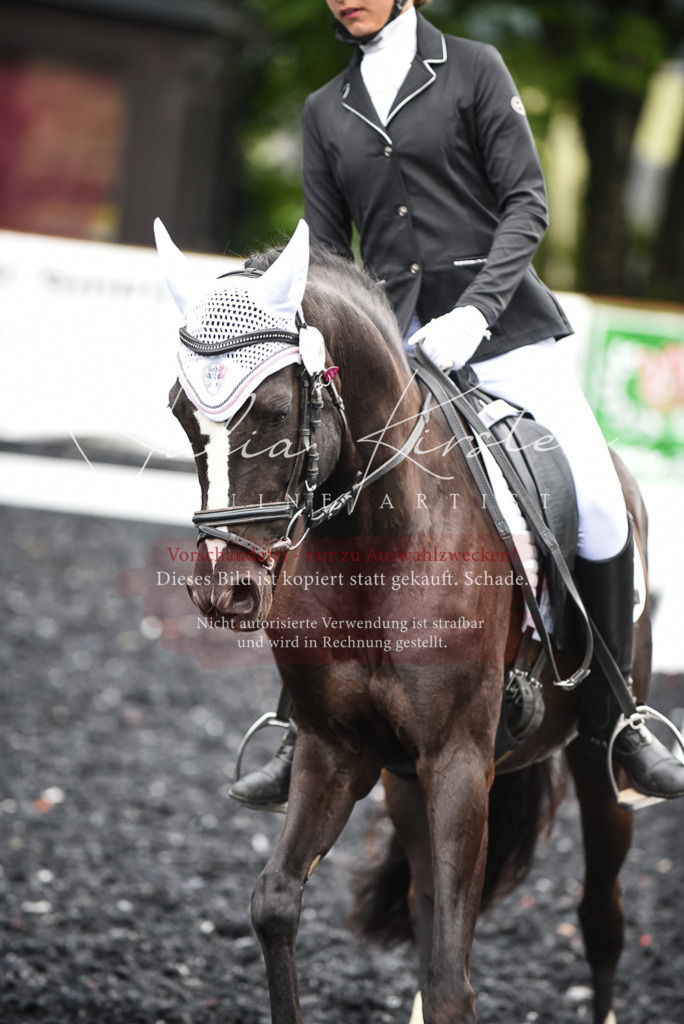 DSC_2734 | Pferde- und Turnierfotografie in Westsachsen. Pferdeportraits, Auftragszeichnungen und intuitive Kunst.