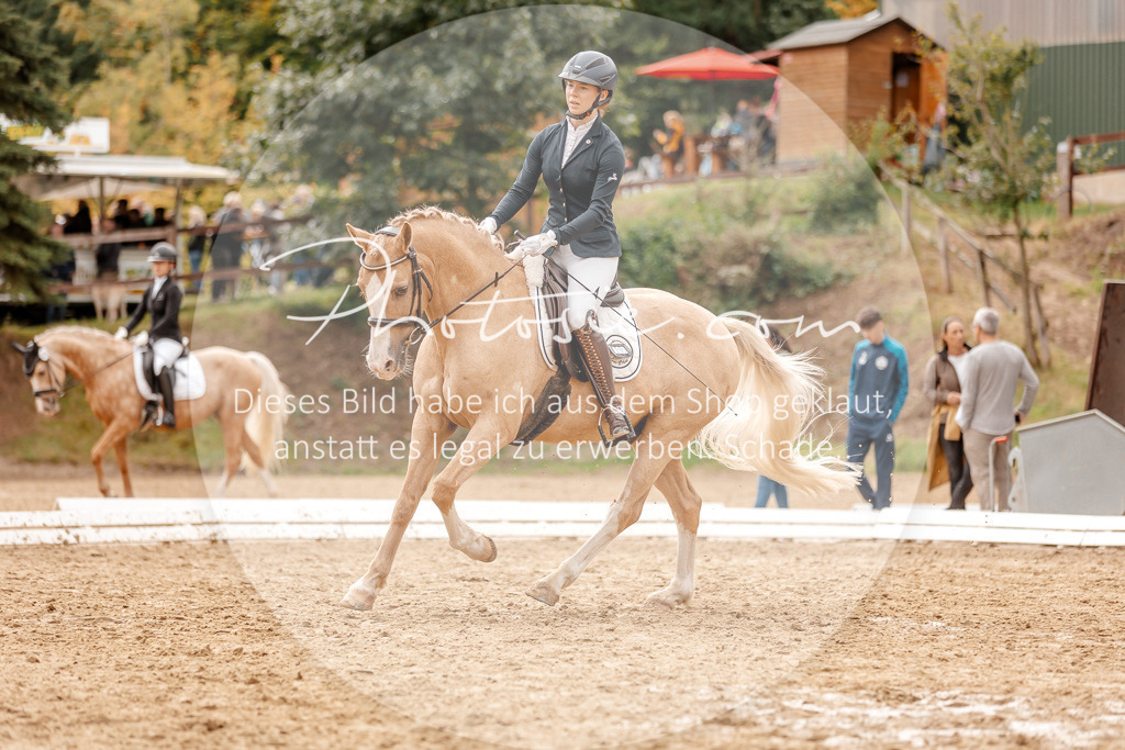 3I6A7870 | Stimmungsvolle Portraits und Reitsportfotografie im Ruhrgebiet und im Münsterland.

Pferdefotografie, Hundefotografie, Tierfotografie, Reportagen, Portraits von Tier und Mensch, Turnierfotografie in Bochum, Recklinghausen, Marl, Haltern am See, Dülmen.. - Realisiert mit Pictrs.com
