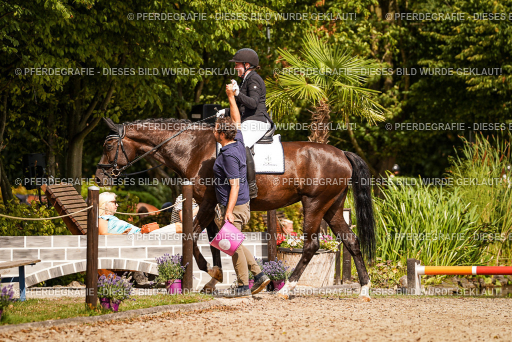 DSC01607 | Pferdegrafie