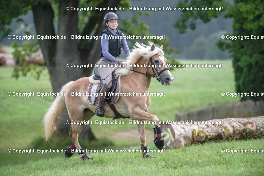 20250726_Vielseitigkeitslehrgang-Marbach_0087 | Foto: Thomas Hartig